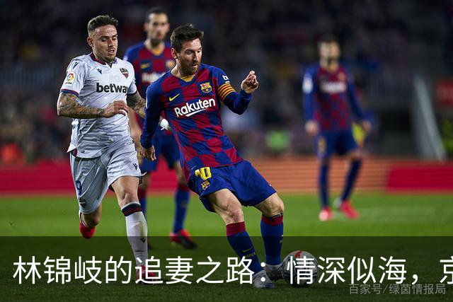 林锦岐的追妻之路：情深似海，京城之行暗潮涌动